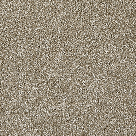 Apollo Plus Burly Wood