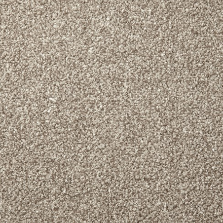 Apollo Plus Forest Walk