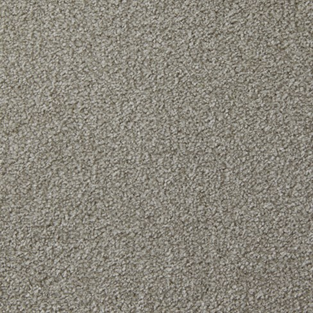 Apollo Plus Meteorite