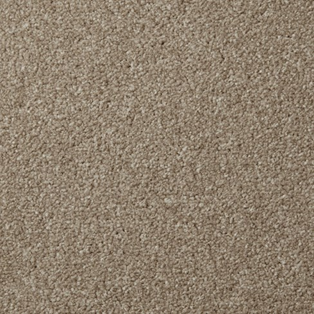 Apollo Plus Stepping Stone