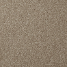 Apollo Plus Stepping Stone