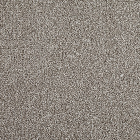 Primo Choice Elm