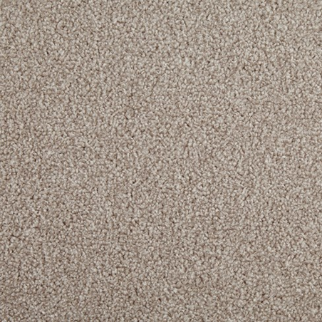 Primo Choice Linseed