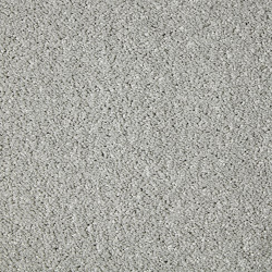 Primo Grande Moorland Frost