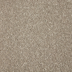 Primo Grande Rushmoor