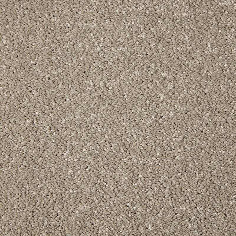 Primo Grande Rushmoor