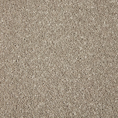 Primo Grande Rushmoor