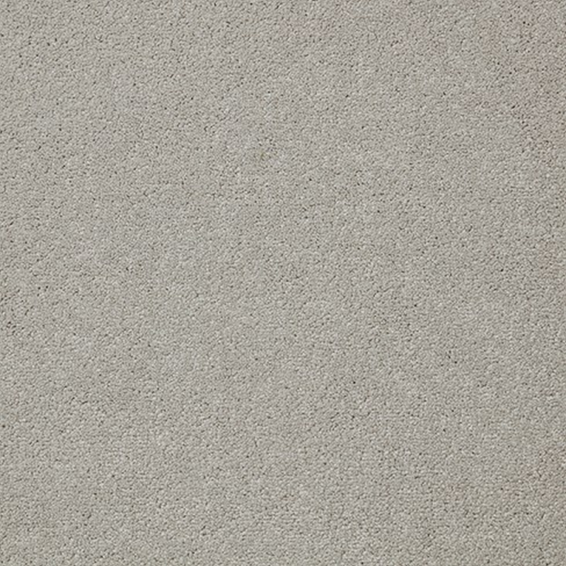 Primo Plus Alloy Grey