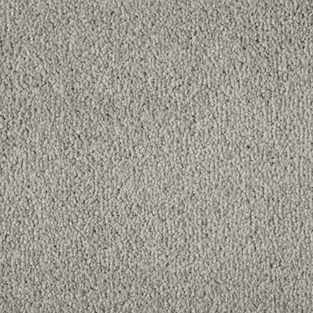 Primo Plus French Grey