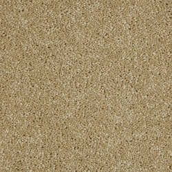 Sensation Twist Spiced Honey