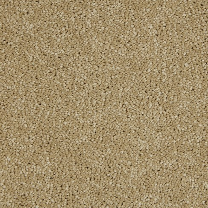 Sensation Twist Spiced Honey