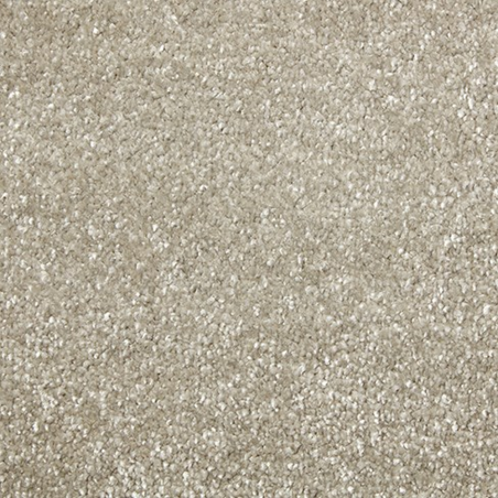 Apollo Comfort Snipe