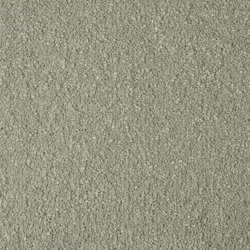 Sensation Atlantic Seal