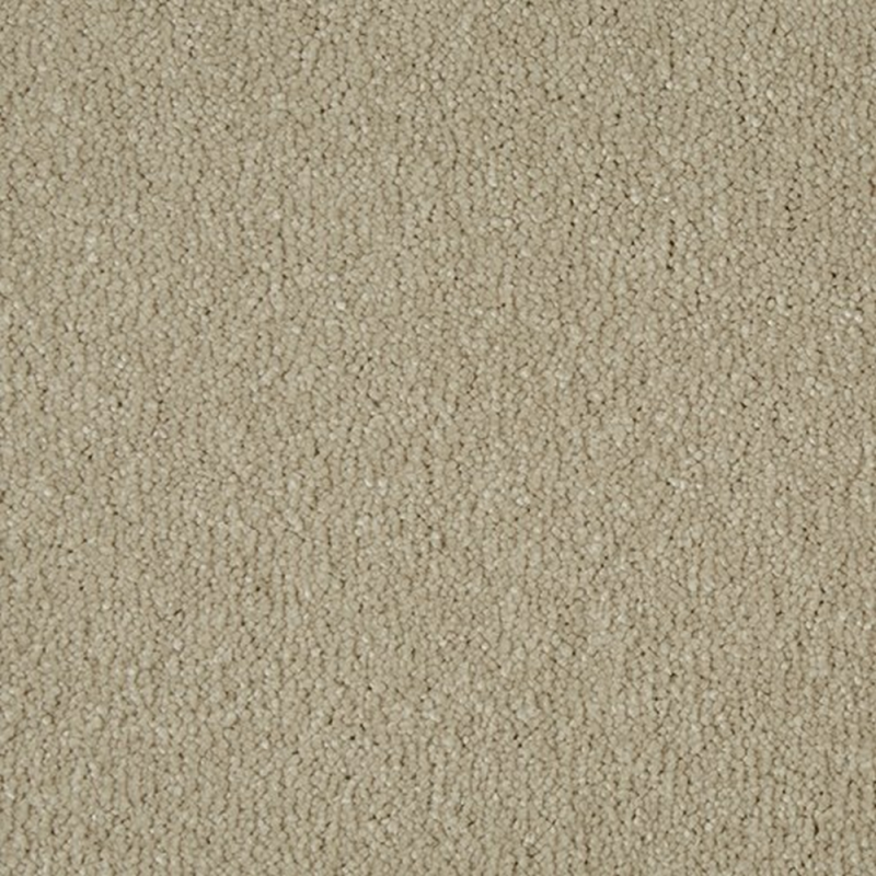 Sensation Cambrian Stone