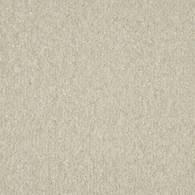Sensation Soft Orchid