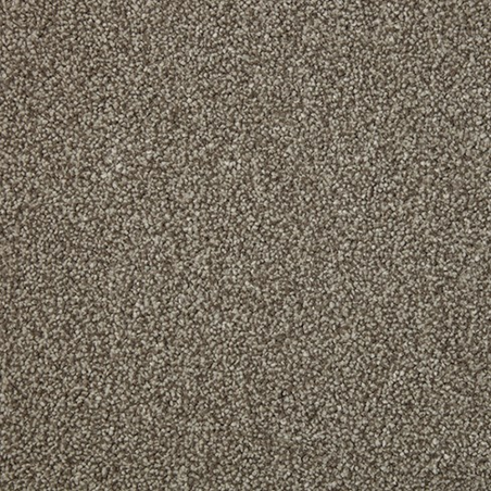 Sensation Heathers Sable