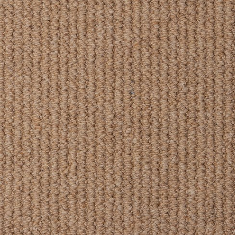 Malabar Two Fold Dune