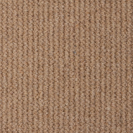 Malabar Two Fold Dune