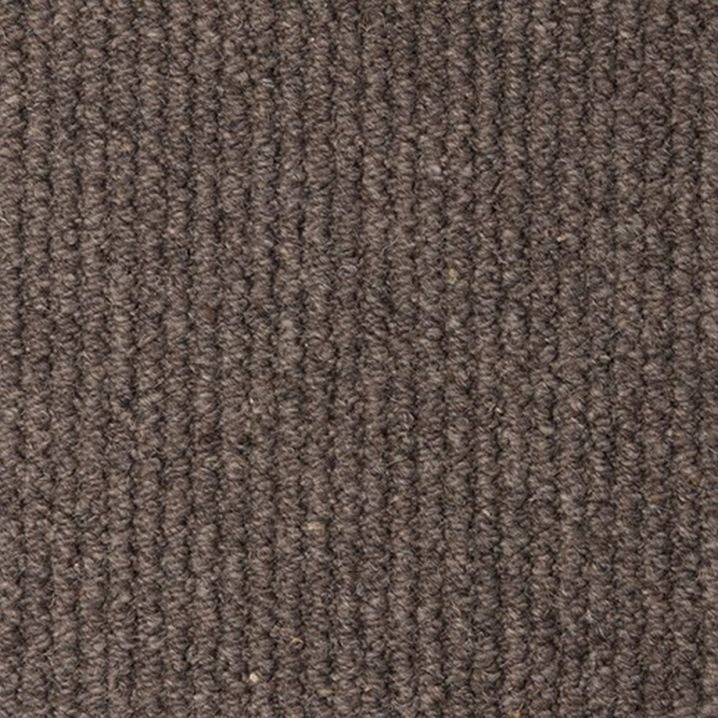 Malabar Two Fold Heron