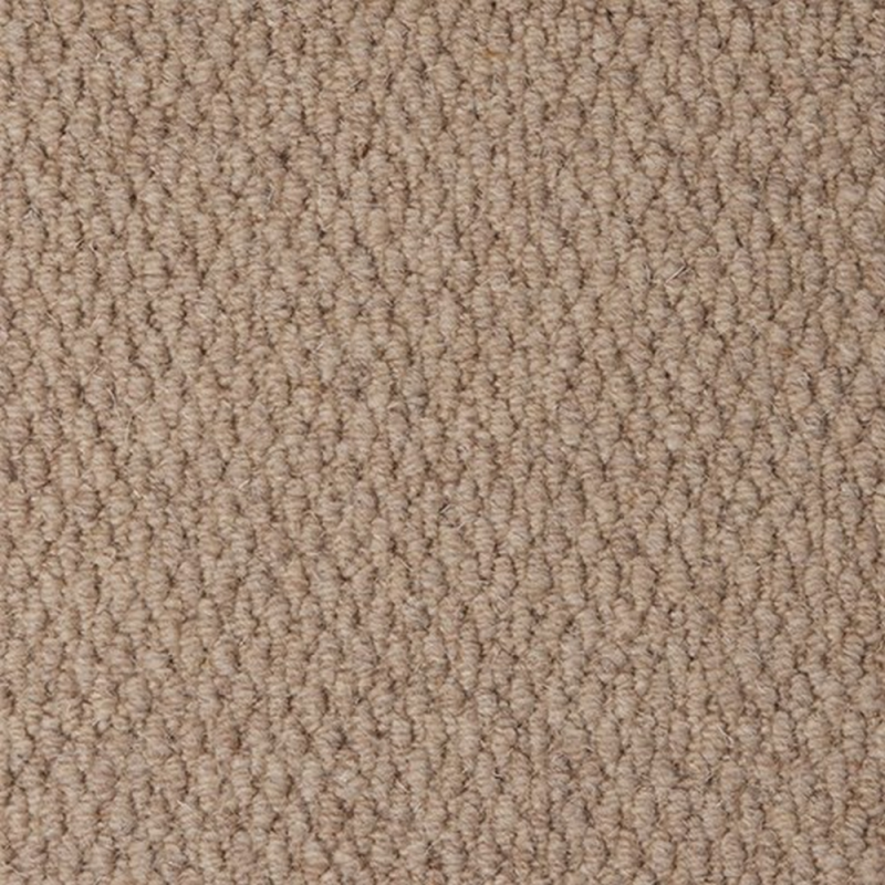 Malabar Two Fold Llama