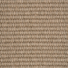 Malawi Coconut