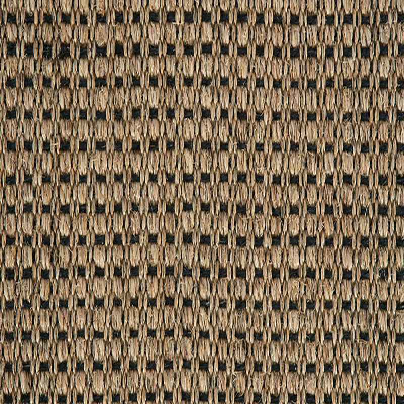 Panama N Champagne Black