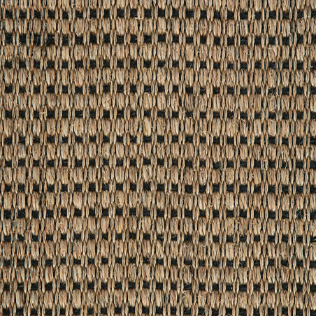 Panama N Champagne Black