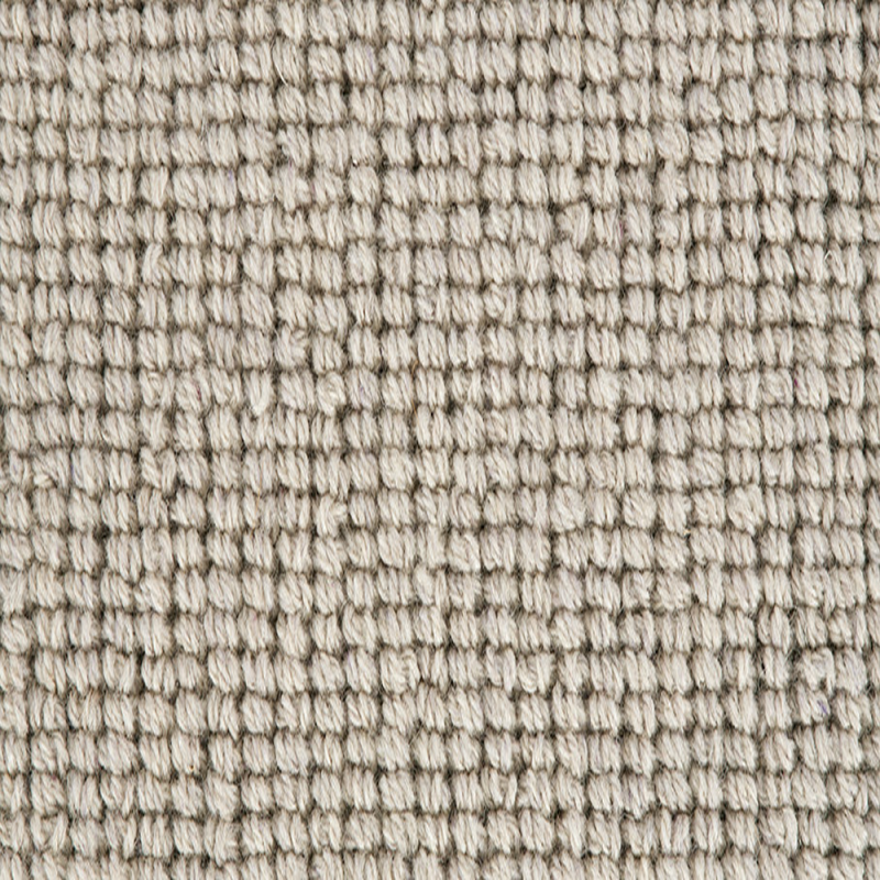 Alaska Silver Squirrel