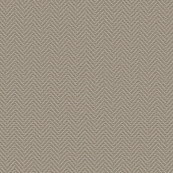 Alpine Mountain Bear