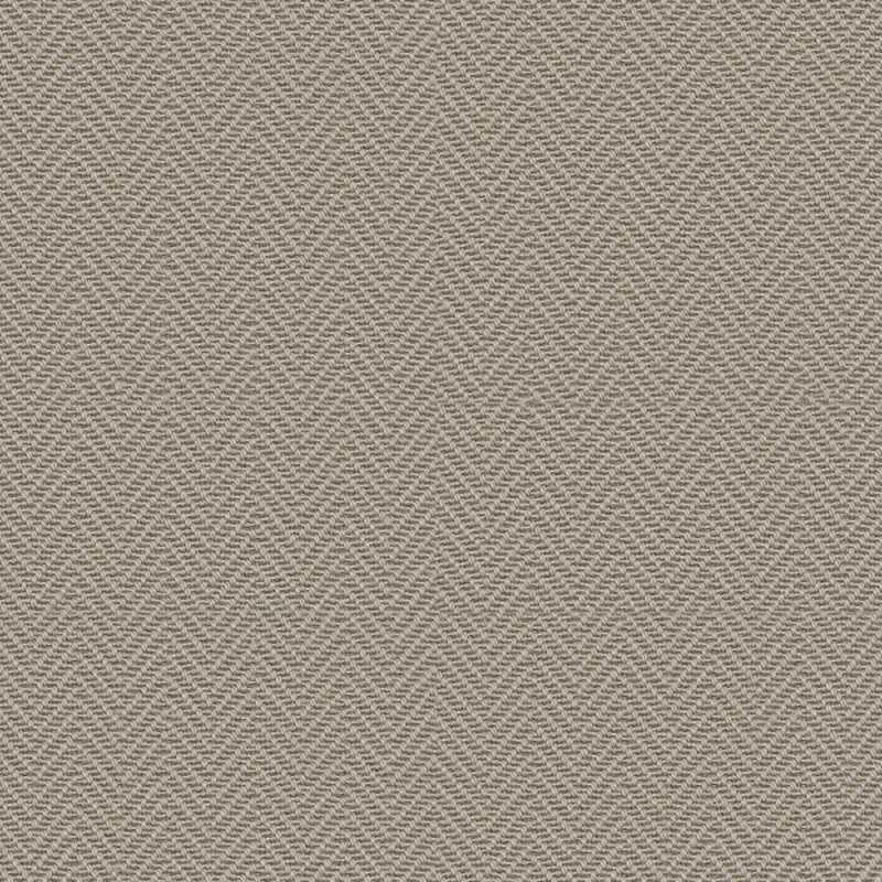 Alpine Mountain Bear