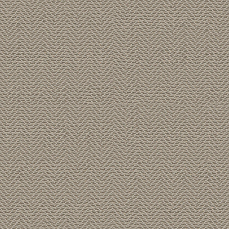 Alpine Mountain Bear