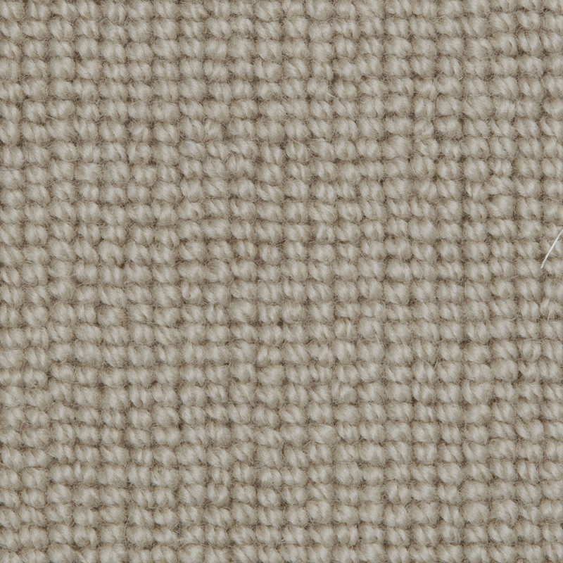 Biscayne Plain Wild Mushroom