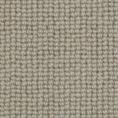 Biscayne Plain Wild Mushroom