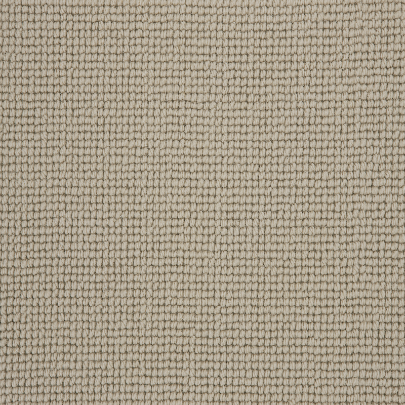 Buttercup Gentle Oyster