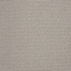 Buttercup Morning Mist