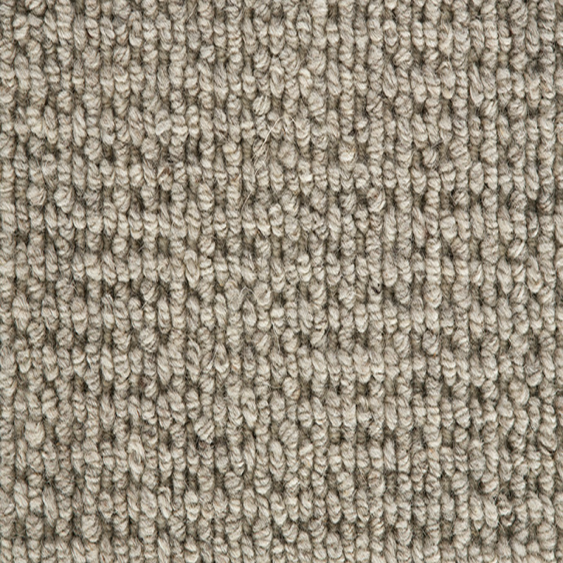 Enchanted Cinder Grey