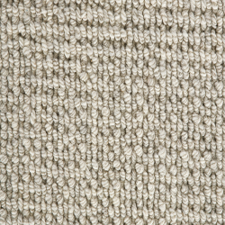 Enchanted Morning Mist