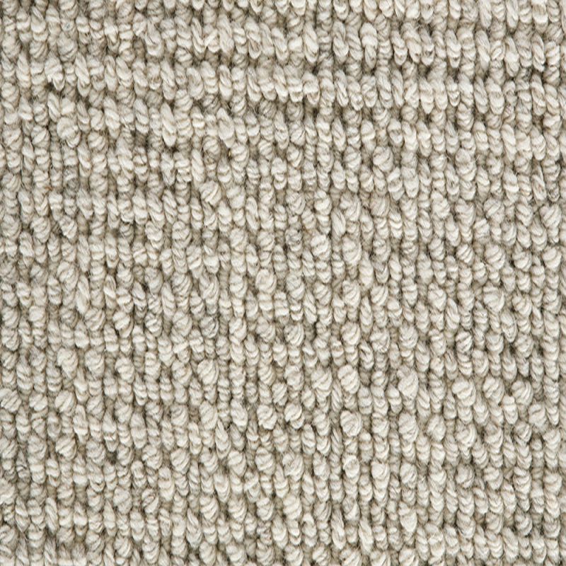 Enchanted Morning Mist