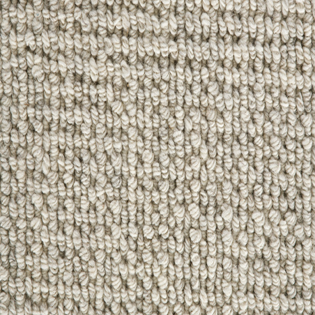 Enchanted Morning Mist