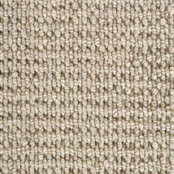 Enchanted Soft Sands