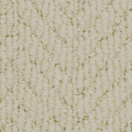 Everest Mountain Frost