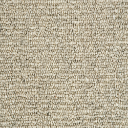 Jasmine Spring Blossom