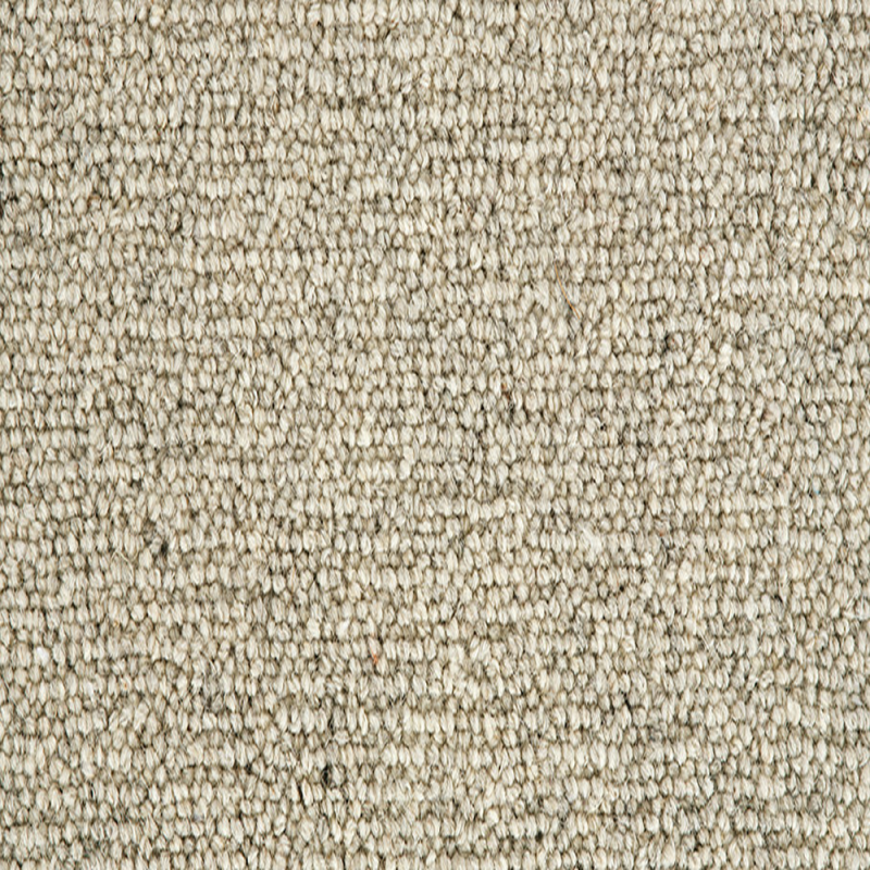 Jasmine Spring Blossom