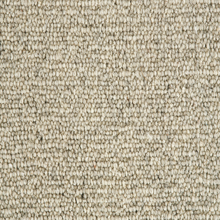 Jasmine Spring Blossom