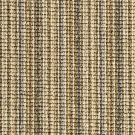 Mississippi Sand Willow