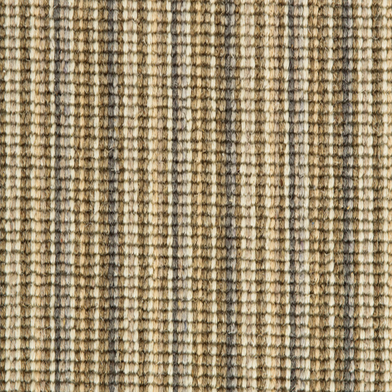 Mississippi Sand Willow