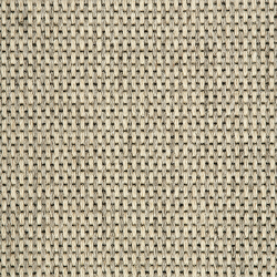 Oregon Stripe Oyster Pepper