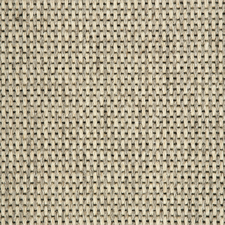 Oregon Stripe Oyster Pepper