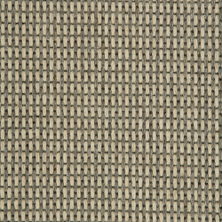 Oregon Stripe Oyster Stone