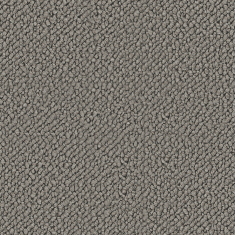 Snug Delicate Feather